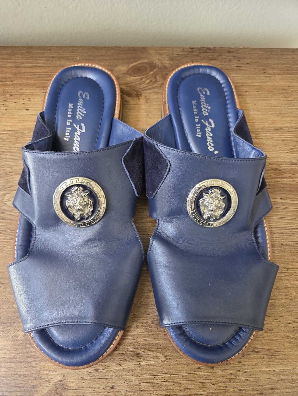 Rare & Unique Emilio Franco Italian Navy Leather Lion Medallion Mule Sandals